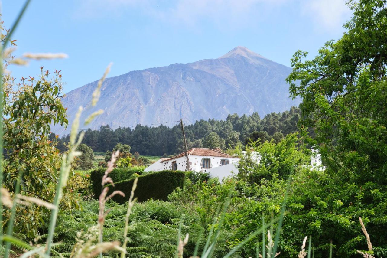 Casa Rural Felipe Luis San Juan de la Rambla Dış mekan fotoğraf